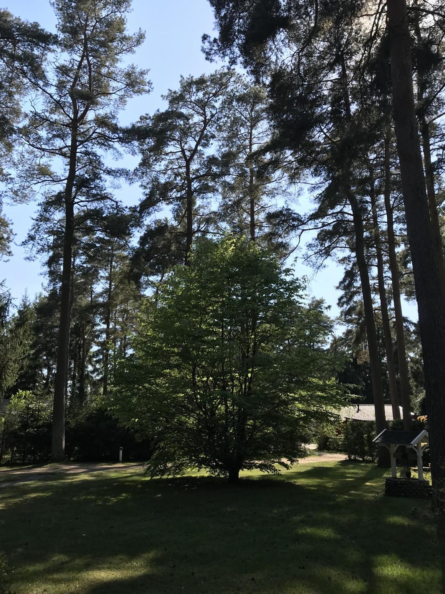 Nordic Relax House - Woodhouse Villa Sjobo Bagian luar foto